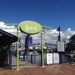 ゴールドコーストでマリンスポーツ