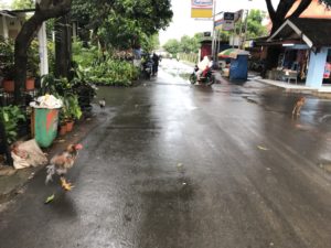 ジャカルタ郊外